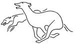 Sheya Greyhound and Lurcher Rescue
